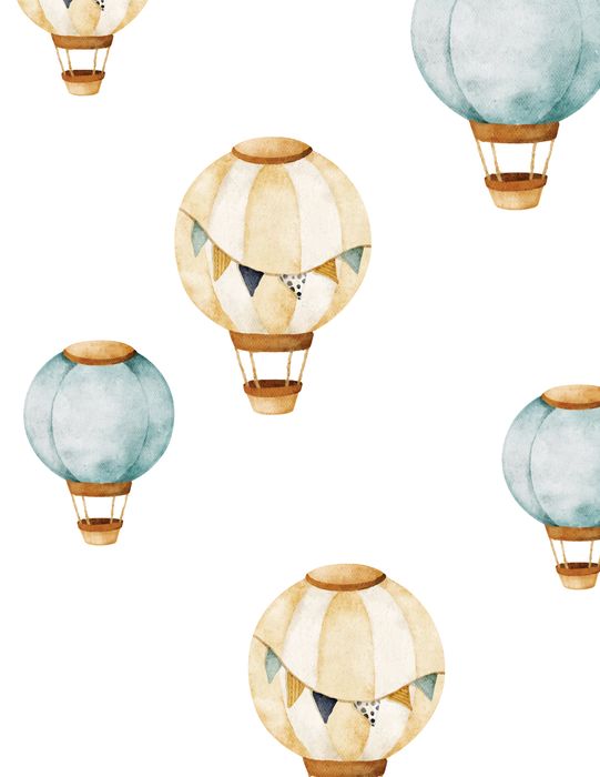 HOT AIR BALLOONS