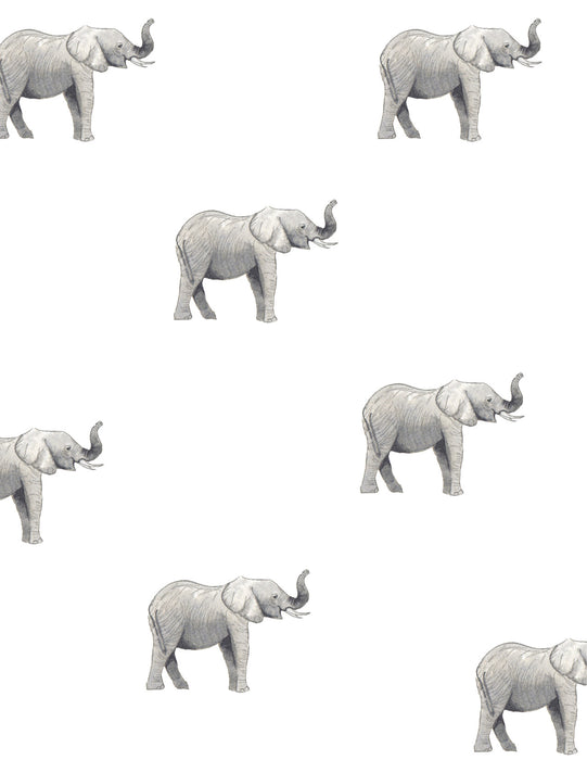 ELEPHANTS