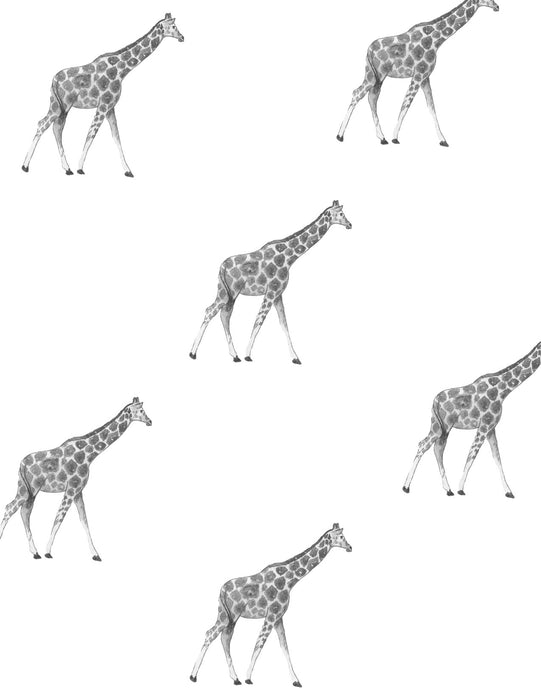 GIRAFFES