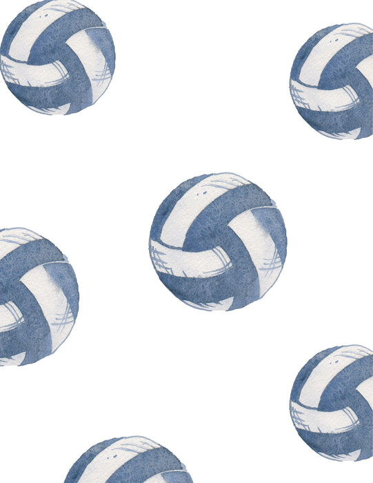 VINTAGE VOLLEYBALL