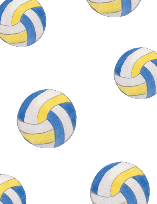 VOLLEYBALL