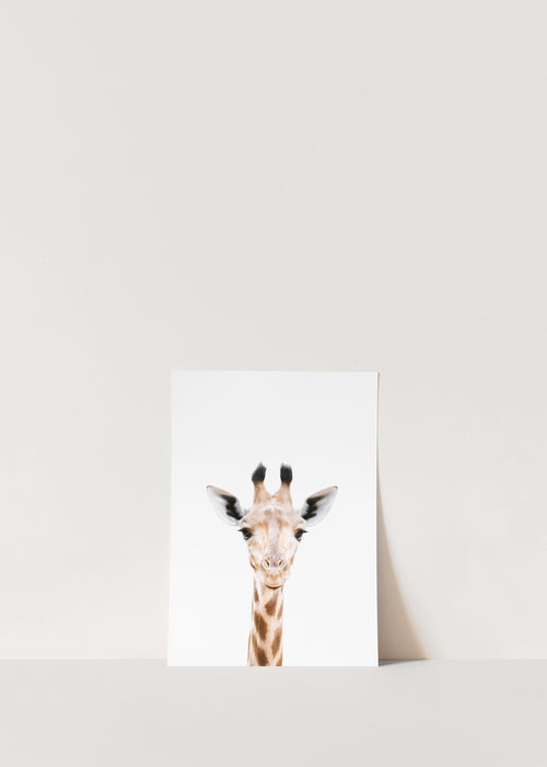 SAFARI GIRAFFE